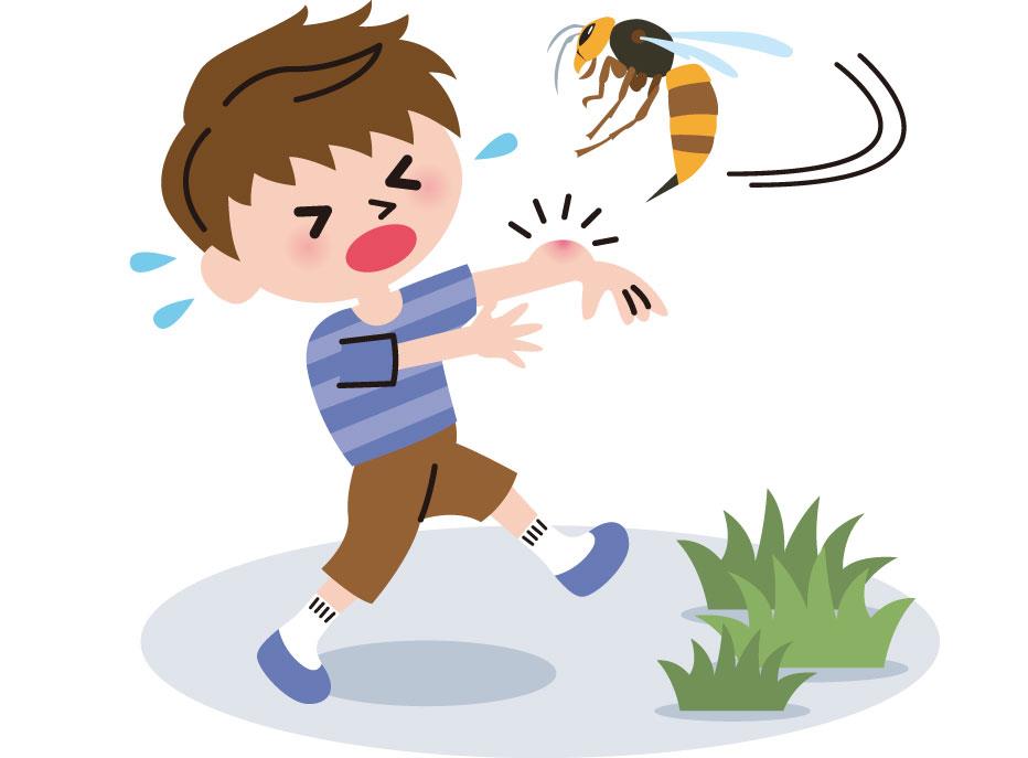 ハチに刺された際の主な症状